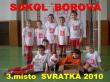 SVRATKA 2010 - HALOVÝ TURNAJ PŘÍPRAVEK V KOPANÉ